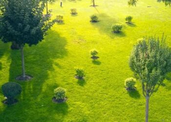 Central Garden