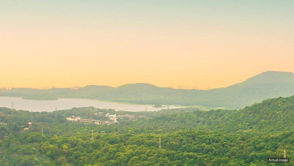 Serene Views